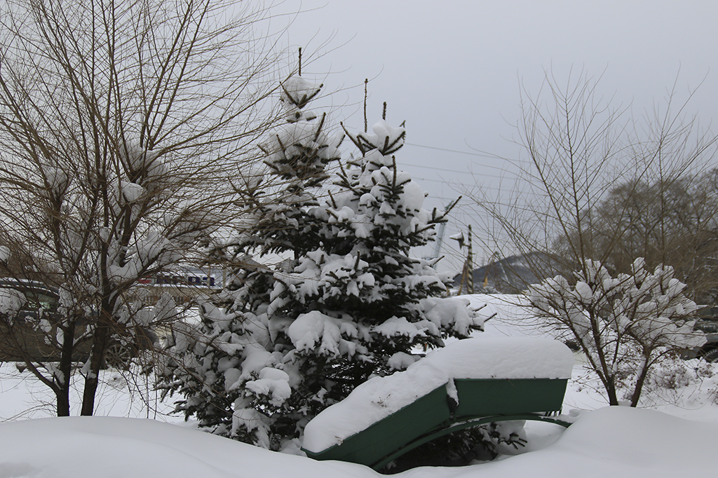 За сутки в Находке выпало больше месячной нормы снега