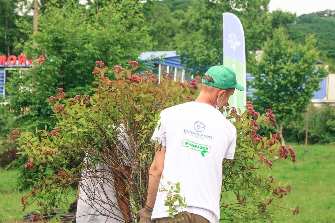 «Восточный Порт» открыл ежегодный «Экомарафон» высадкой деревьев и кустарников во Врангеле