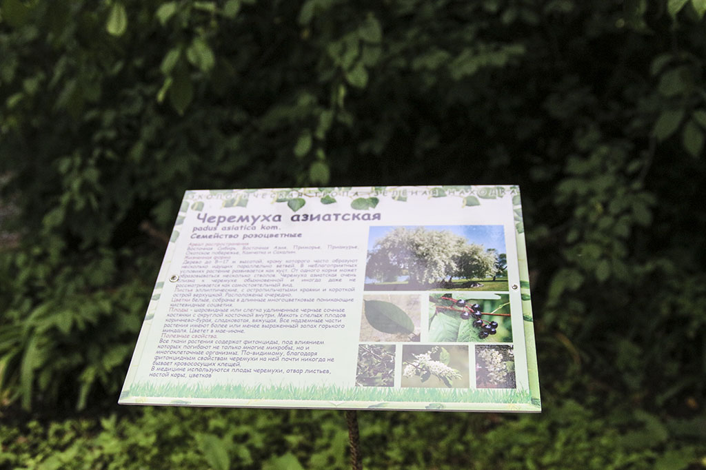 Экологическая тропа «Зелёная Находка» появилась в историческом парке «Пограничная площадь»