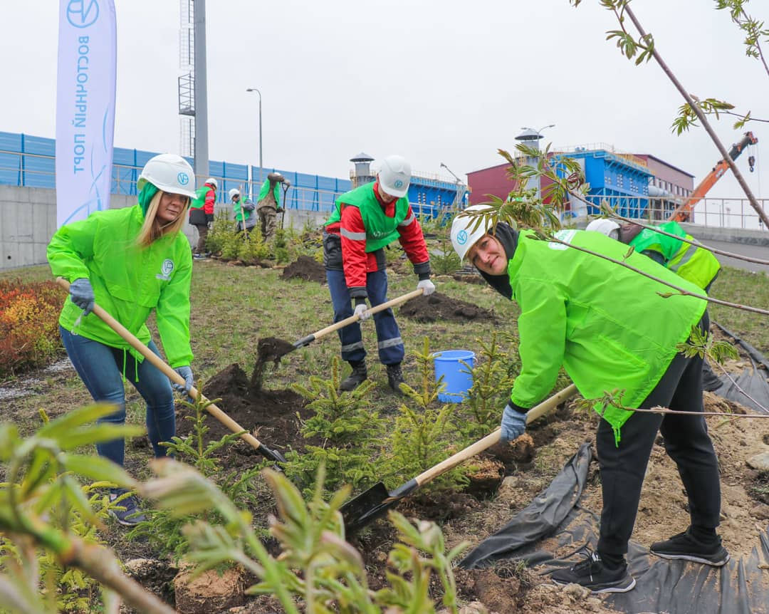 В праздник Весны и Труда сотрудники «Восточного Порта» посадили хвойные деревья