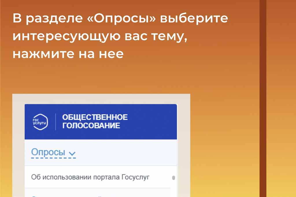 Находкинцев призывают выражать своё мнение через платформу обратной связи