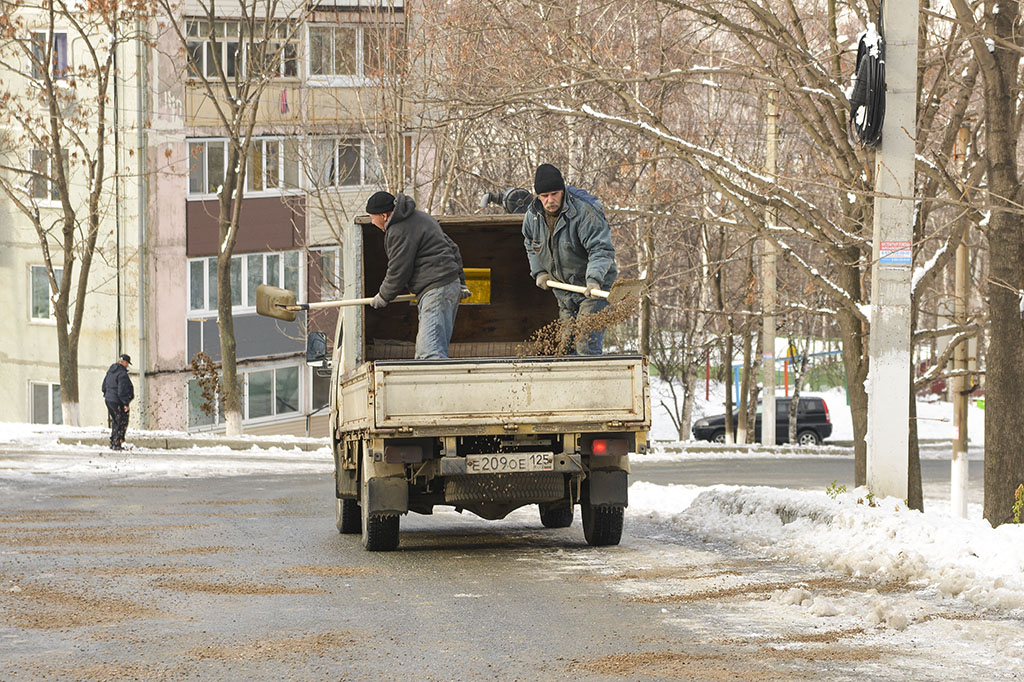 Находка после первого снега: всё в штатном режиме